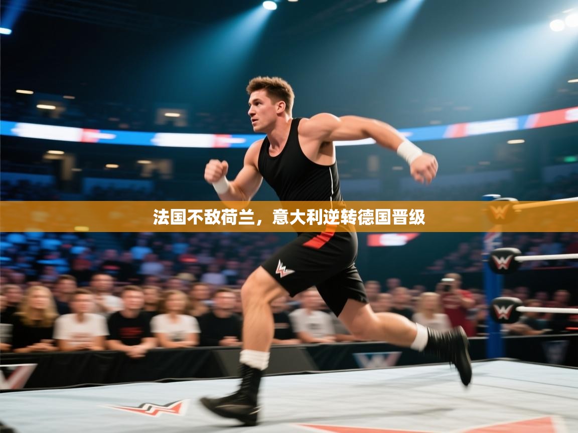 法国不敌荷兰,意大利逆转德国晋级 第2张