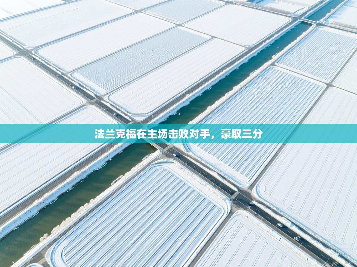 法兰克福在主场击败对手，豪取三分  第1张