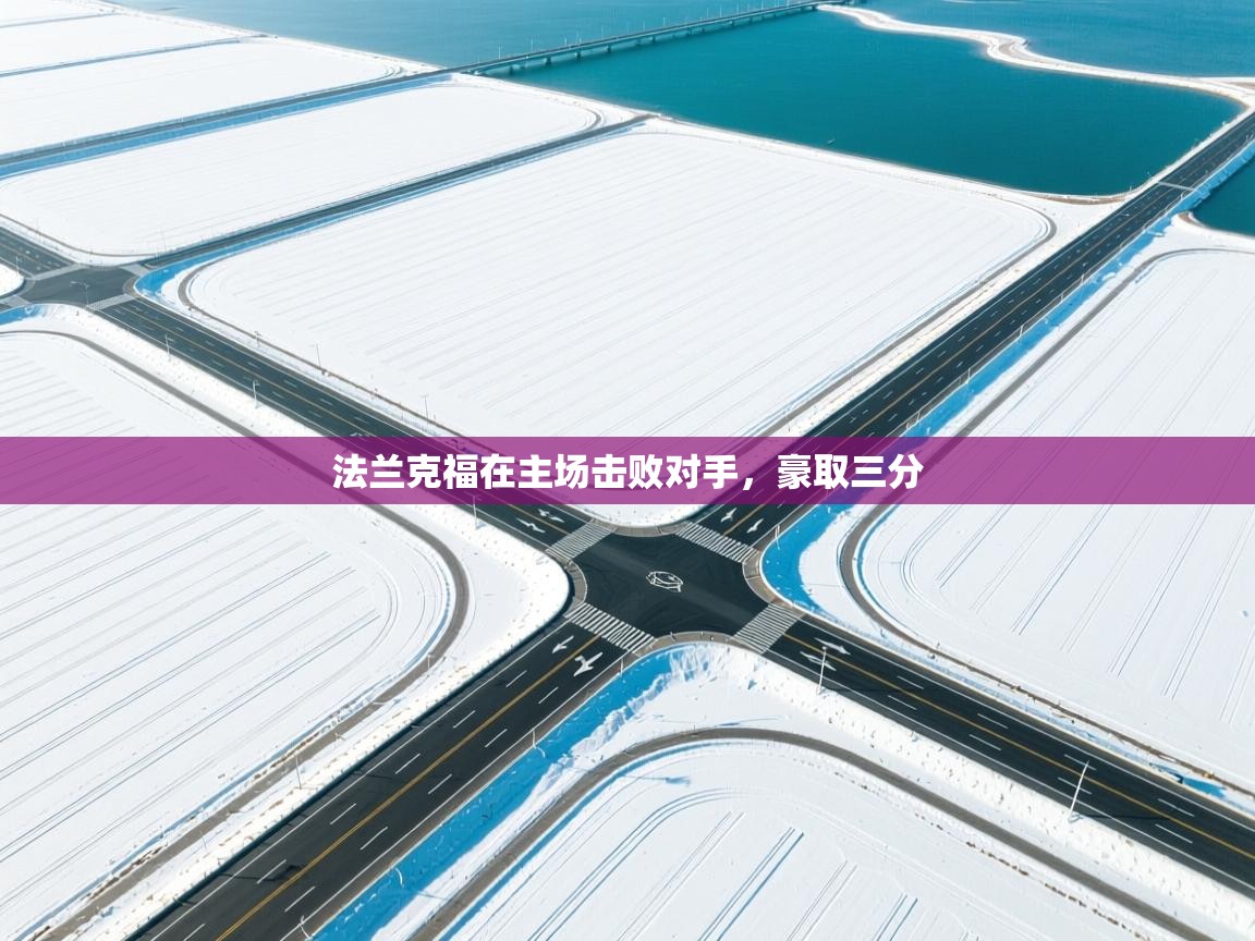 法兰克福在主场击败对手，豪取三分  第2张