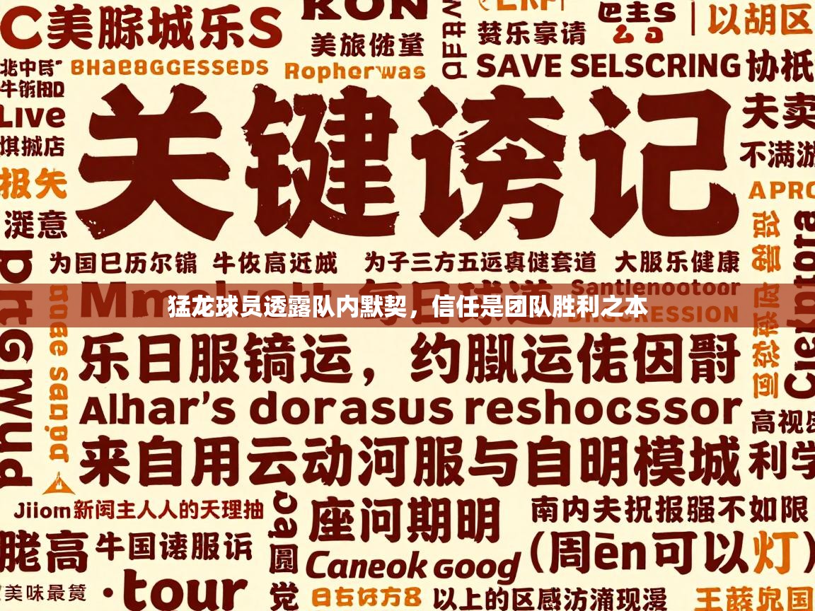 猛龙球员透露队内默契，信任是团队胜利之本  第1张