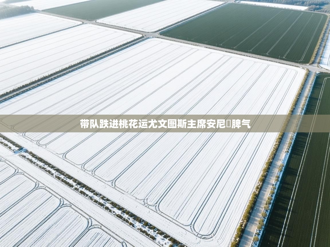 带队跌进桃花运尤文图斯主席安尼發脾气  第2张