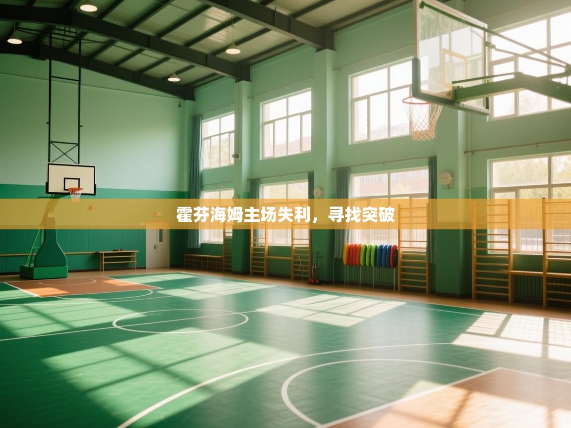 霍芬海姆主场失利,寻找突破 第1张