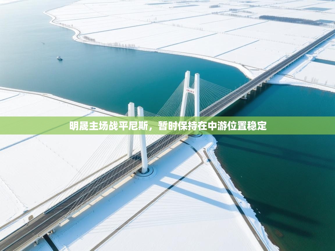 明晟主场战平尼斯,暂时保持在中游位置稳定 第1张