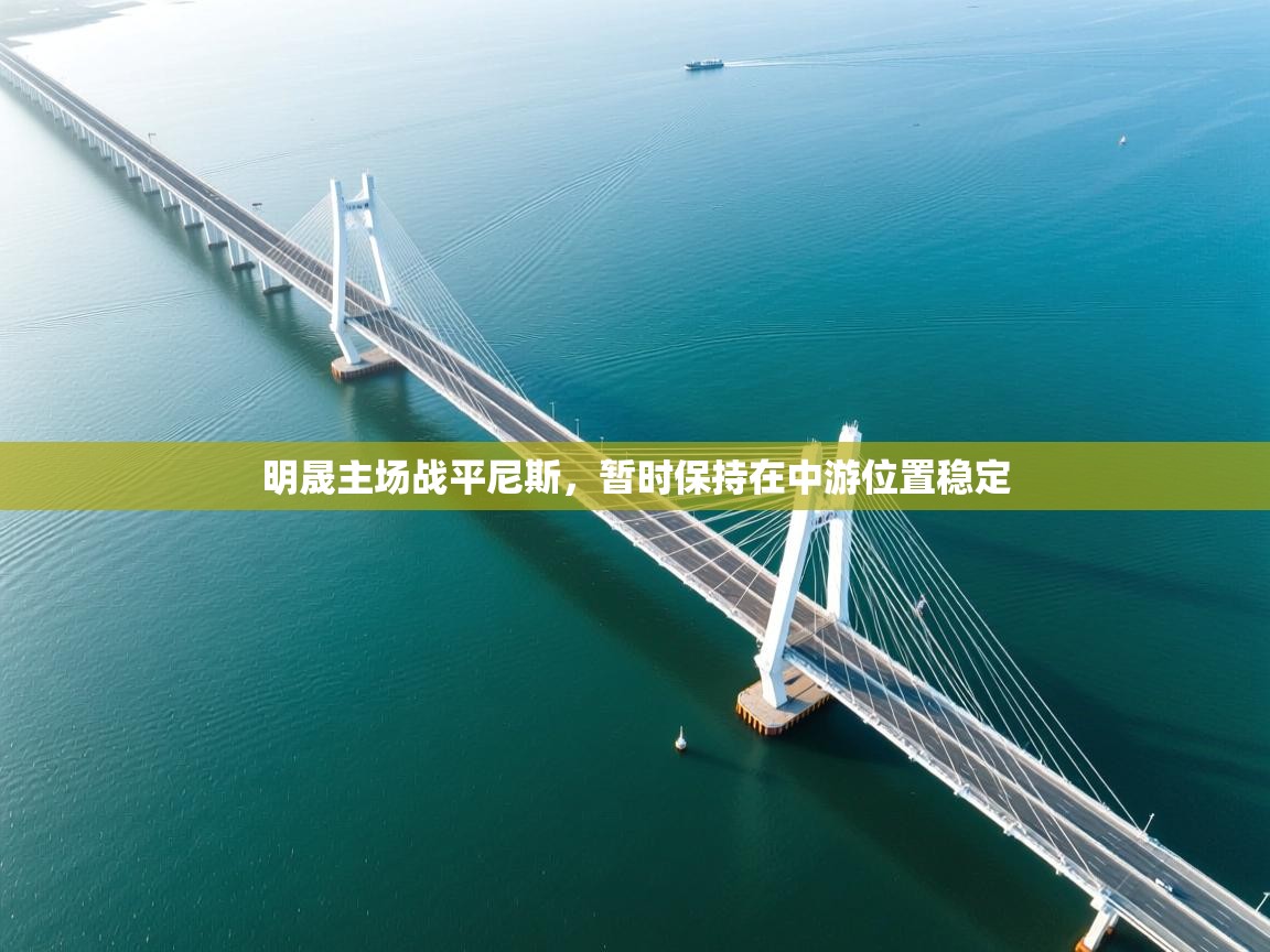 明晟主场战平尼斯,暂时保持在中游位置稳定 第2张