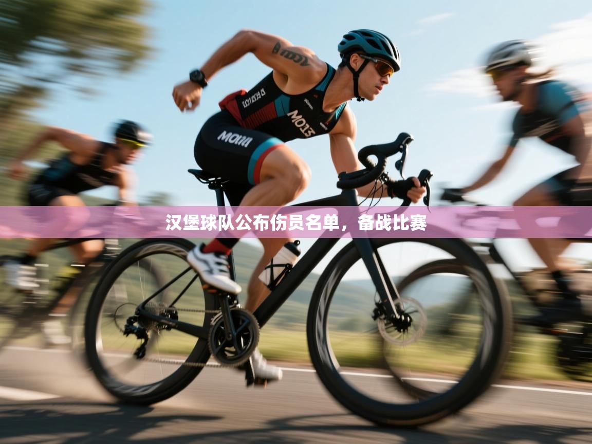 汉堡球队公布伤员名单，备战比赛  第1张